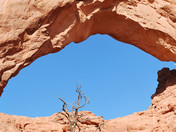 Arches