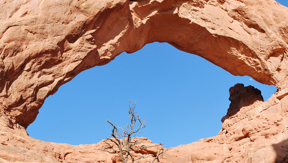Arches