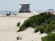 Assateague Island National Seashore
