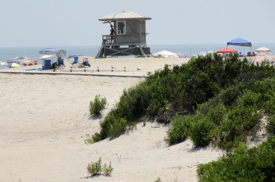Assateague Island National Seashore