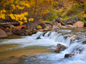 Zion National Park