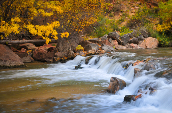 Zion National Park