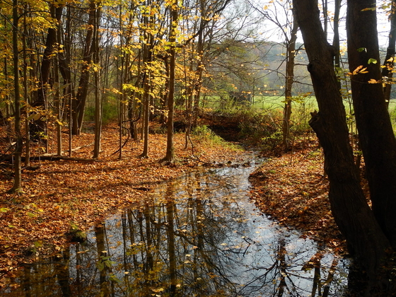 cuyahoga valley national park