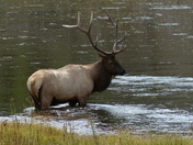 Yellowstone National Park