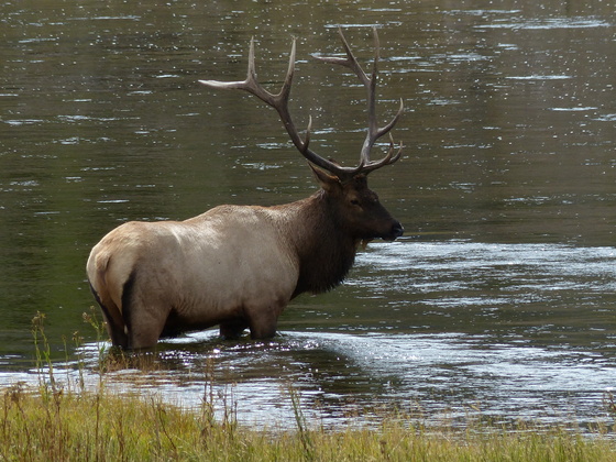 Yellowstone National Park