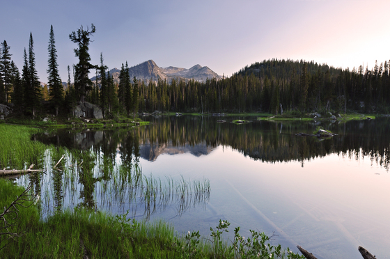 Wallowa-Whitman National Forest