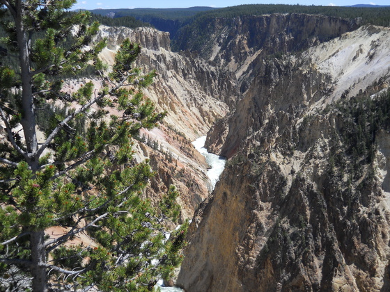 Yellowstone National Park
