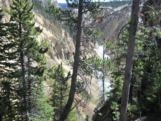 Yellowstone National Park