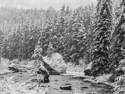 Maligne Road, Jasper National Park