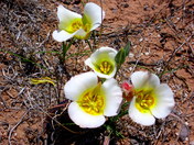 San Rafael Swell