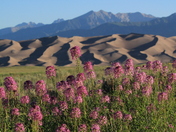 Great Sand Dunes National Park
