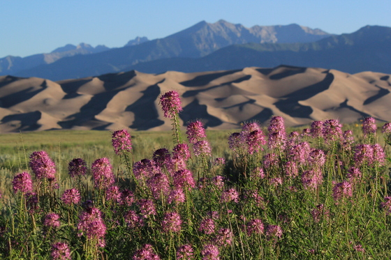 Great Sand Dunes National Park