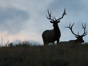 Grand Teton National Park