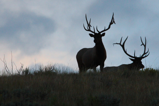Grand Teton National Park
