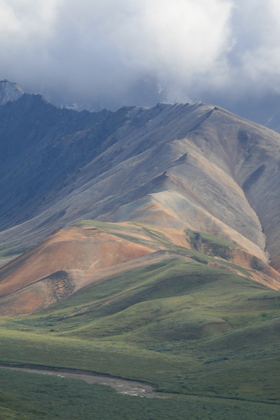 Denali National Park