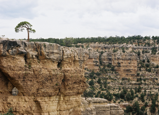 Grand Canyon National Park