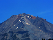 Shasta/Trinity National Forest