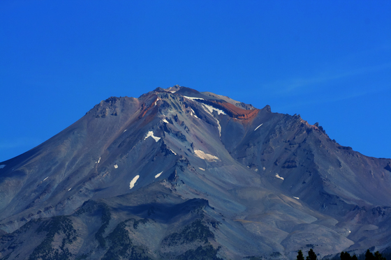 Shasta/Trinity National Forest