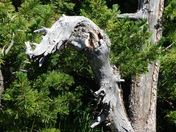 Crater Lake National Park
