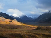 Denali National Park