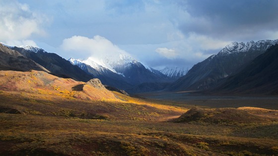 Denali National Park