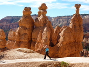Grand Canyon North Rim--Hoodoos