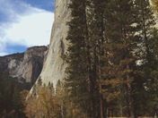 Yosemite National Park
