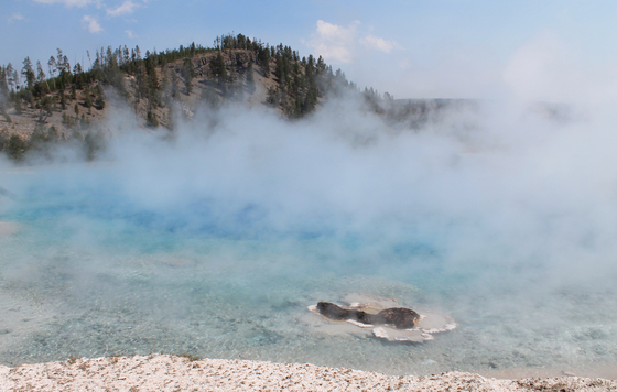 Yellowstone National Park