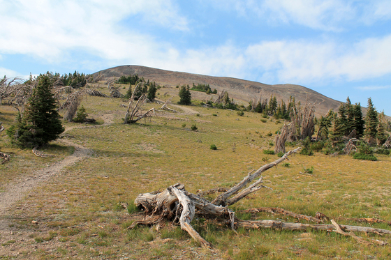 Yellowstone National Park