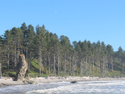 Olympic National Park