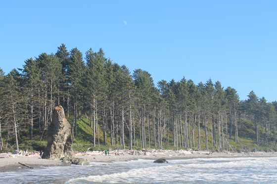 Olympic National Park