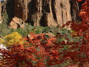 Zion Nattional Park