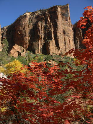 Zion Nattional Park