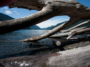 Olympic National Park