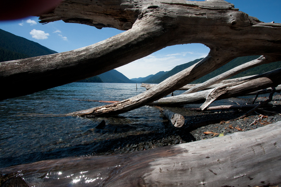 Olympic National Park