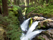 Olympic National Park