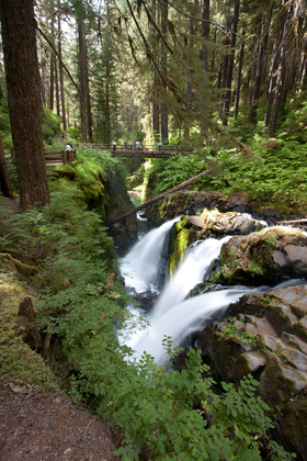 Olympic National Park
