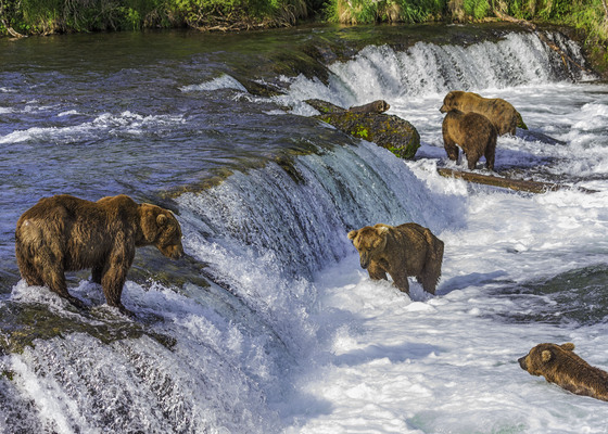 Katmai National Park and Preserve, Alaska