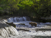 Katmai National Park and Preserve, Alaska