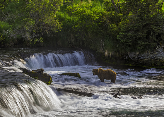 Katmai National Park and Preserve, Alaska
