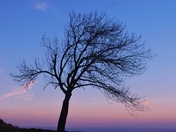John Boyd Thatcher Park