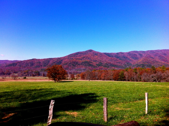 Cades Cove