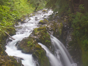 Olympic National Park