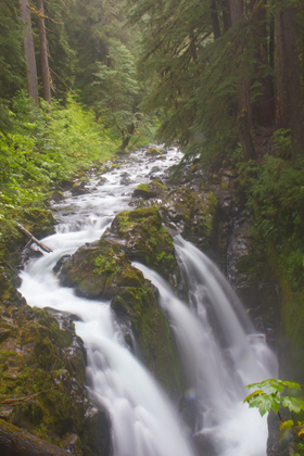 Olympic National Park