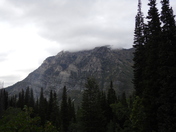 Uintah-Wasatch-Cache National Forest