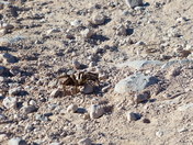 Lake Mead National Recreation Area