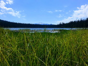 Willamette National Forest