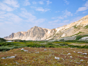Medicine Bow National Forest