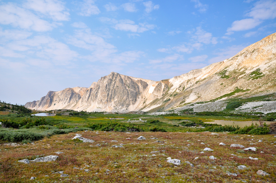 Medicine Bow National Forest