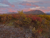 Denali National Park
